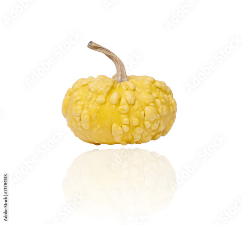 Papier peint pimply pumpkin