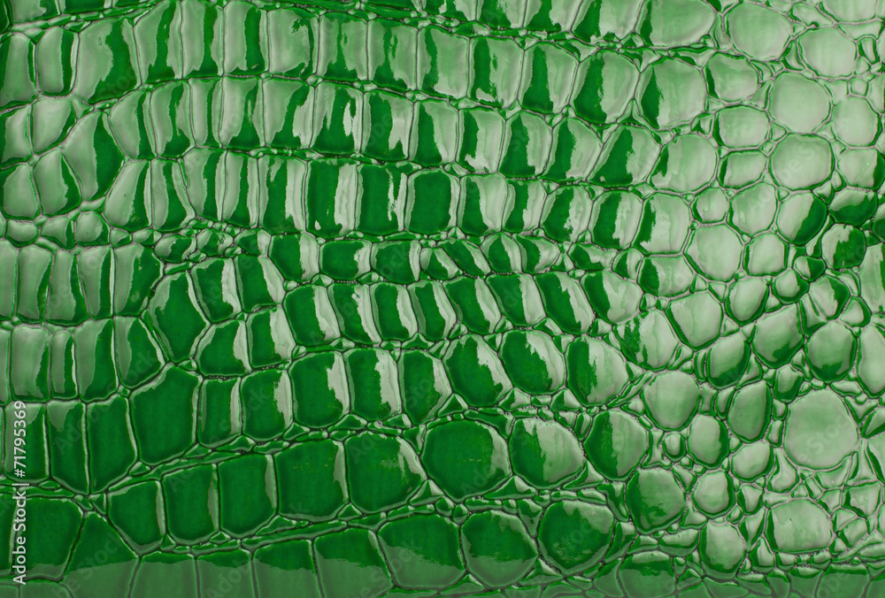 36,718 Green Crocodile Skin Images, Stock Photos, 3D objects, & Vectors