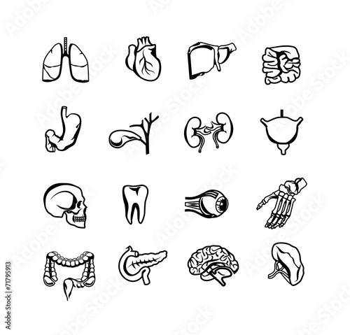Stock vector silhouette black icon set of human internal organs