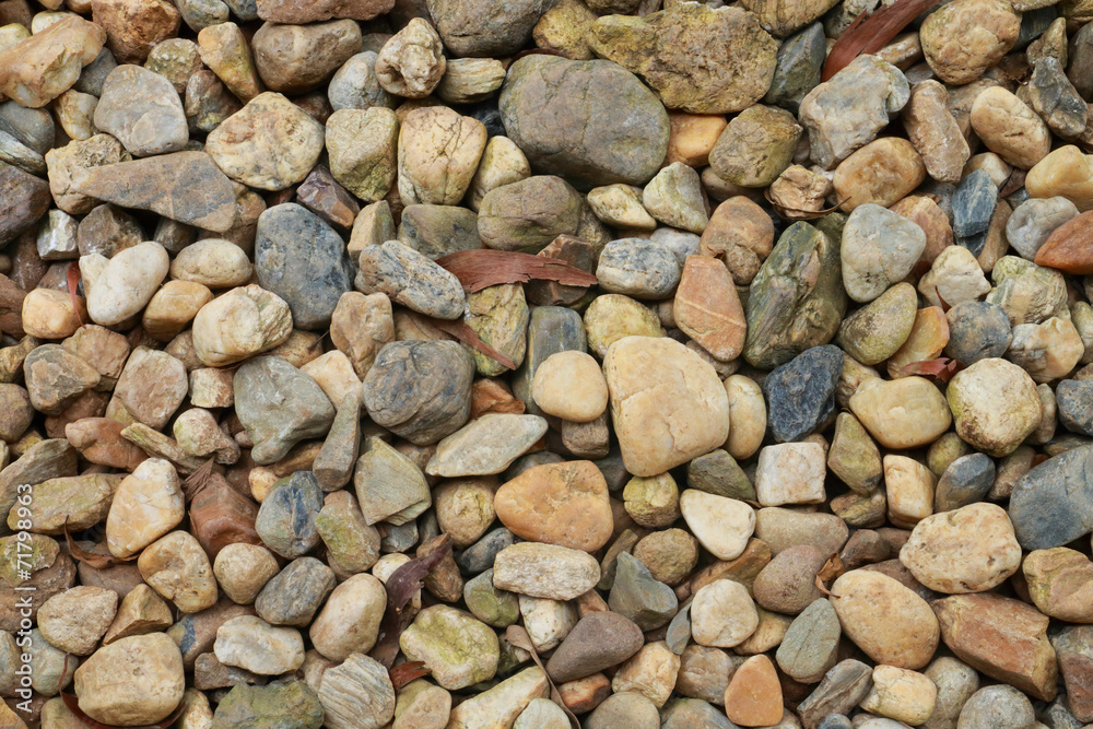 pebbles pebbles