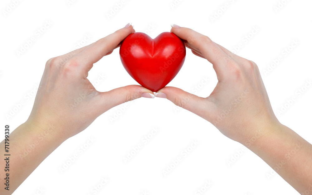 heart in hands isolated on white background