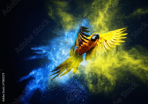 Fotografie, Tablou Flying Ara parrot over colourful powder explosion