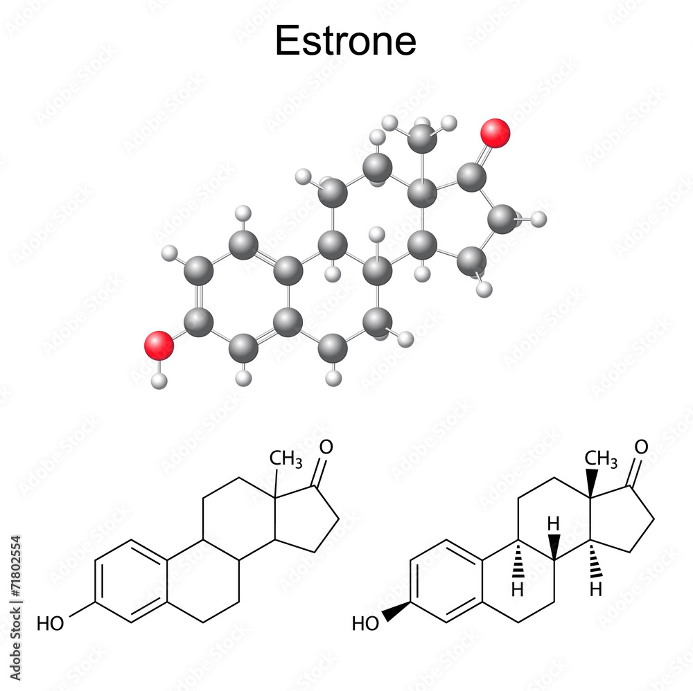 Structural chemical formulas and model of estrone molecule