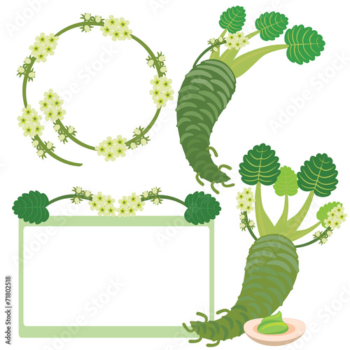 Decomposition wasabi initial design, leaf, flower and stem.