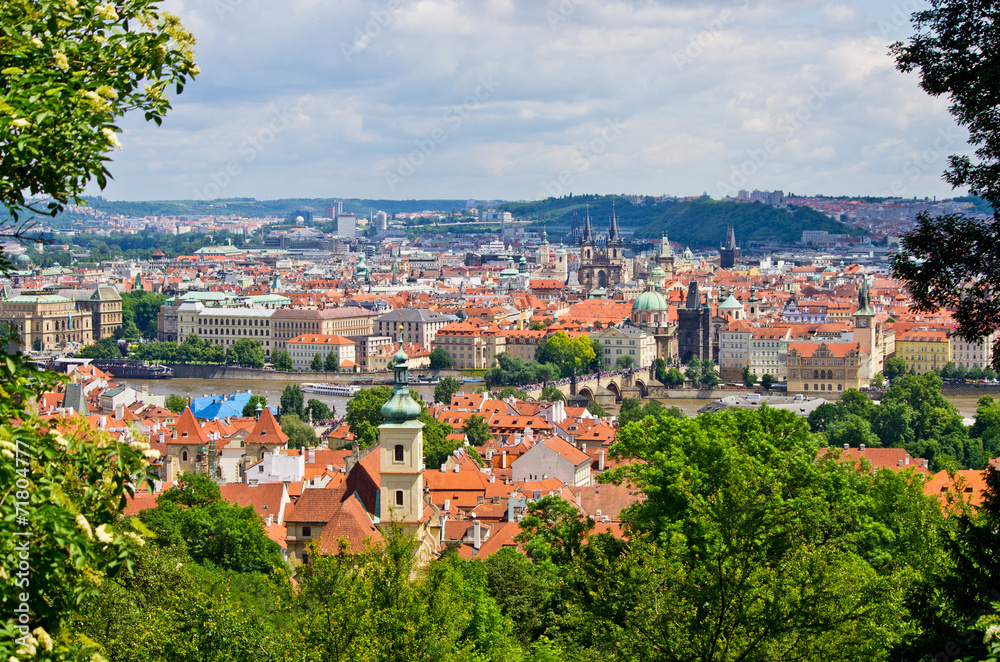 Prague in natural frame made from leaves, Czech Republic