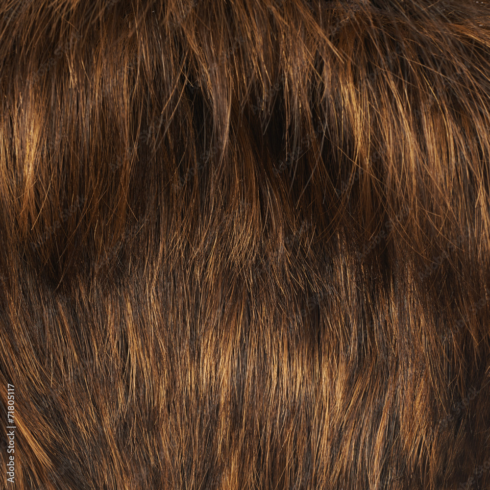 Hair fragment as a background composition Hair fragment as a background composition