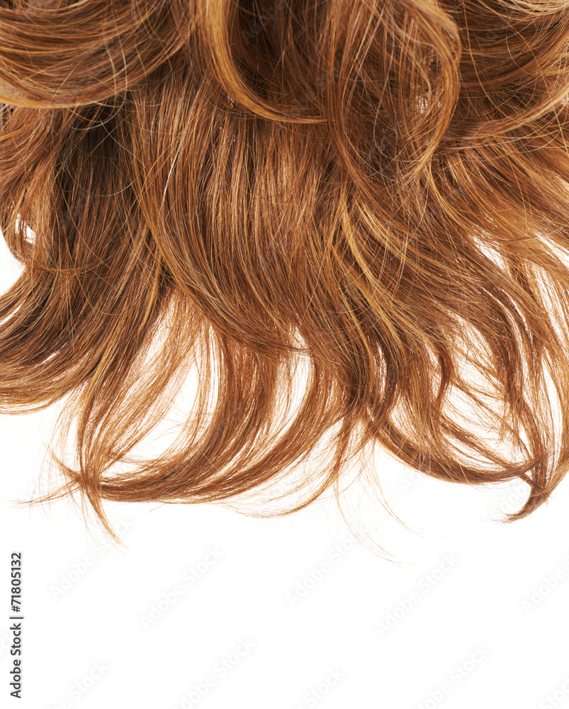 Fototapeta premium Hair fragment over the white