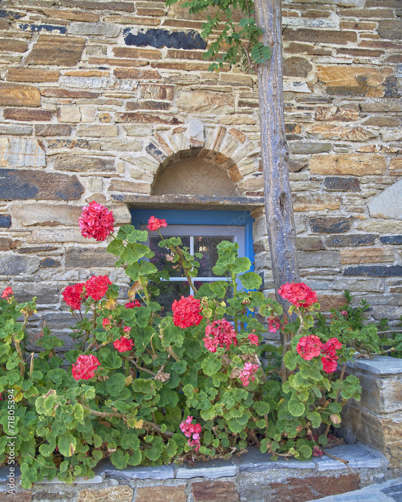 Greece, Tinos island, stone wall with blue window and flowers - obrazy, fototapety, plakaty 