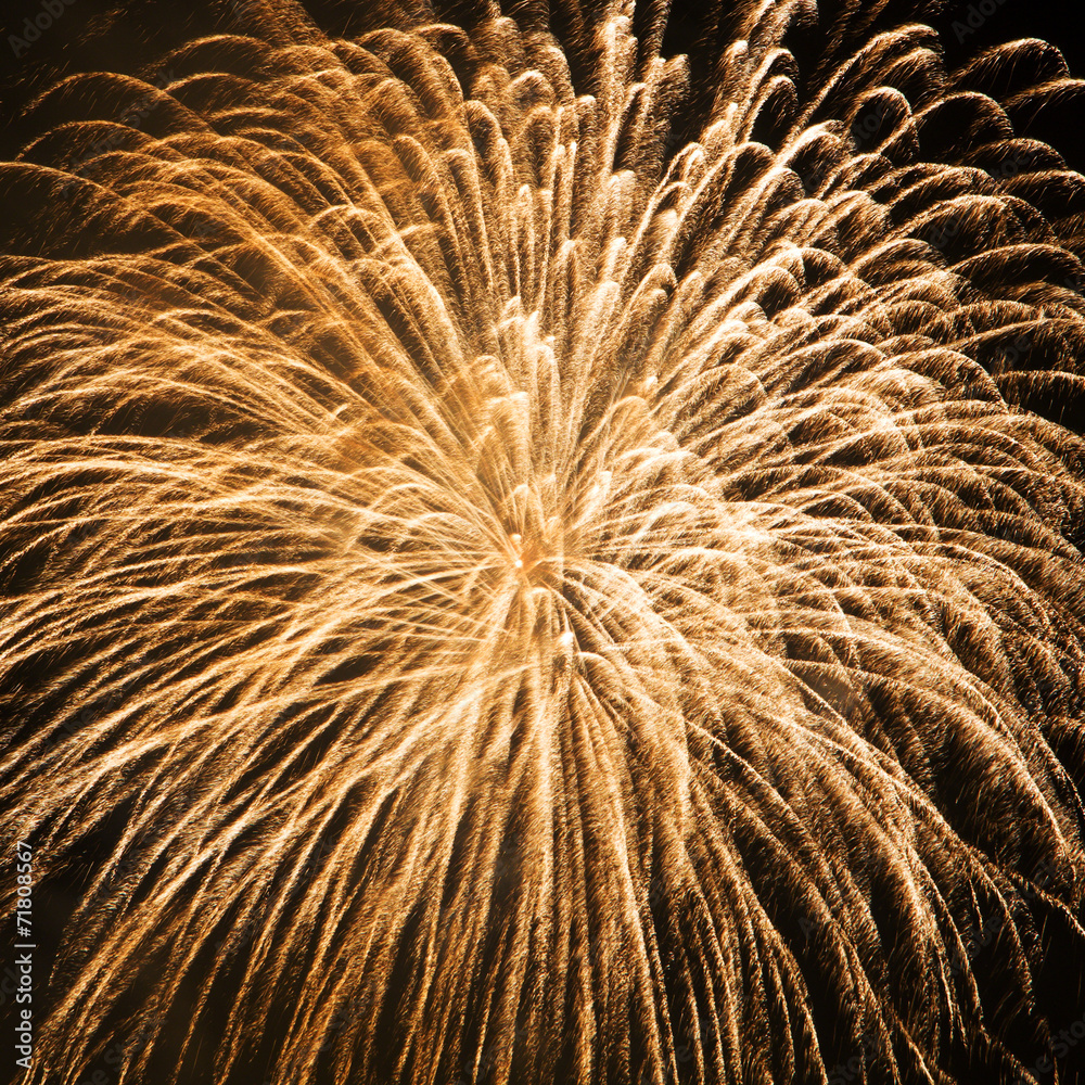 Obraz premium Fireworks