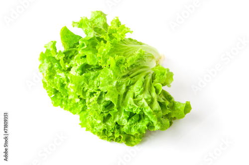 Lettuce leaves green