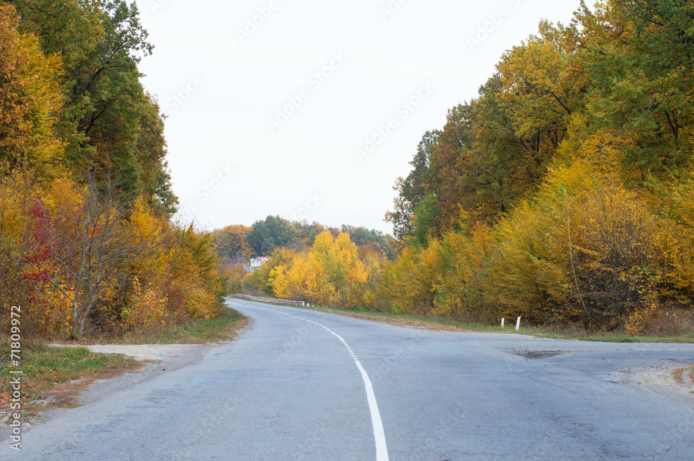 asphalt highway crossroad on the background of autumn trees