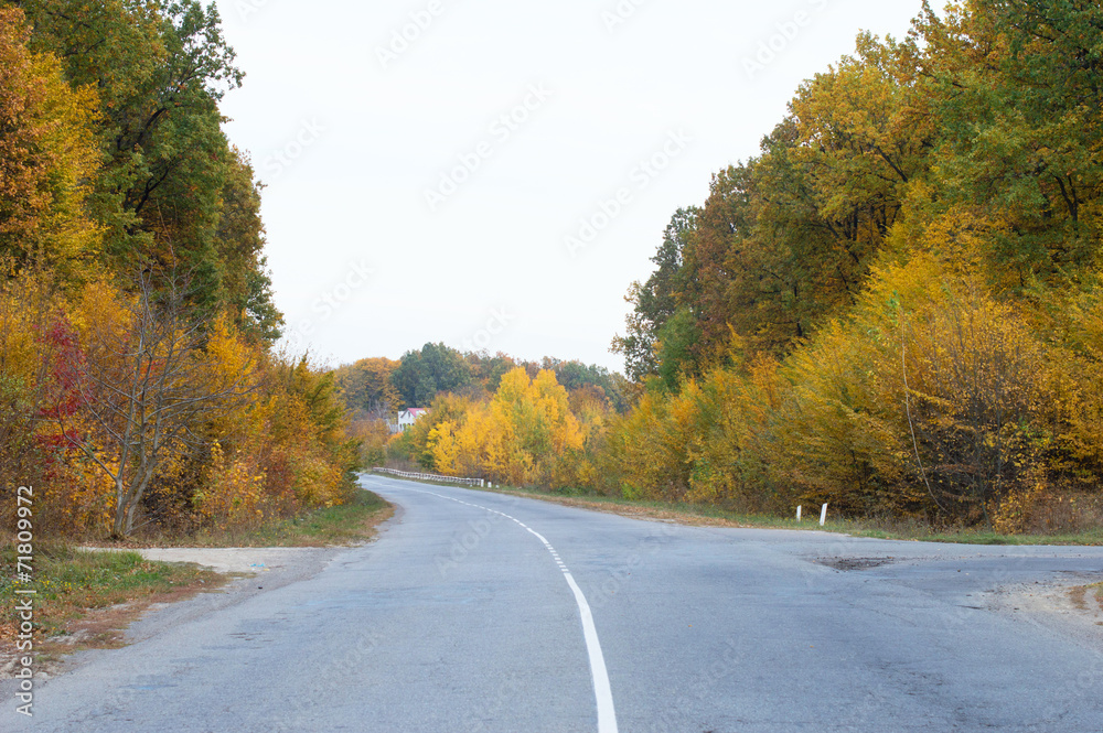 asphalt highway crossroad on the background of autumn trees asphalt highway crossroad on the background of autumn trees