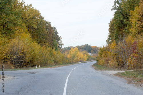 asphalt highway crossroad on the background of autumn trees © gorvik