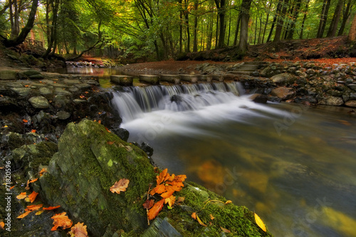 Autumn is here