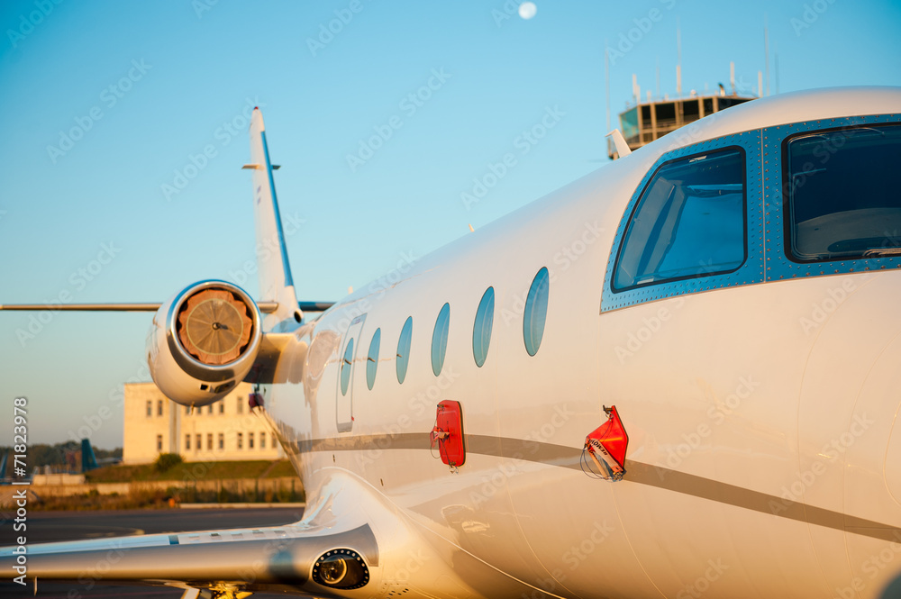 Fototapeta premium Private airplane.
