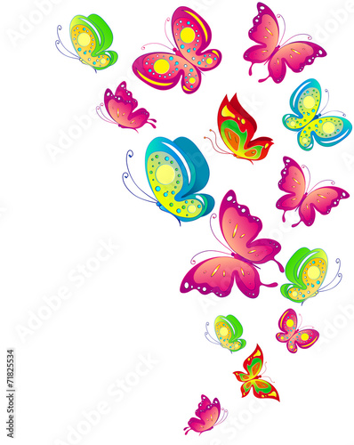 butterflies design