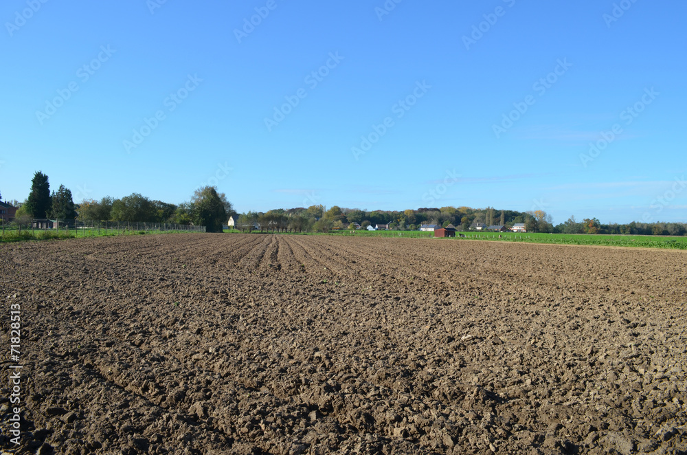 bare field bare field