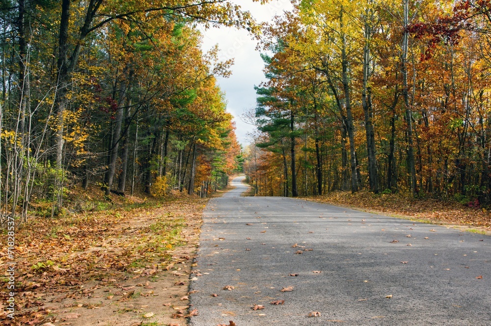 Fototapeta premium Fall Country Road