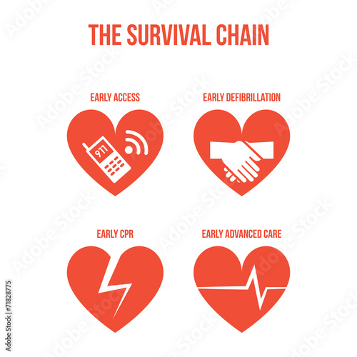 The survival chain