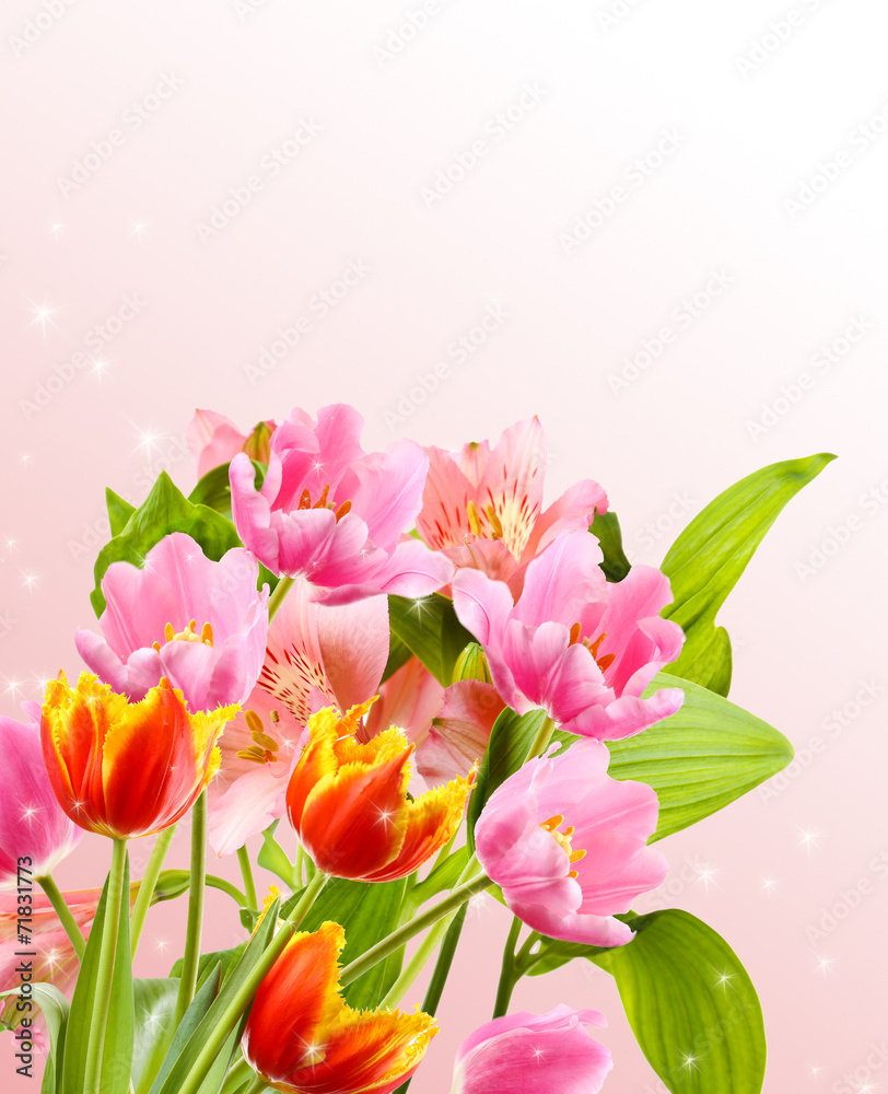 Fototapeta premium Beautiful flowers on light background