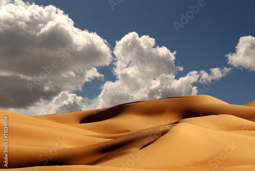 Imperial Sand Dunes