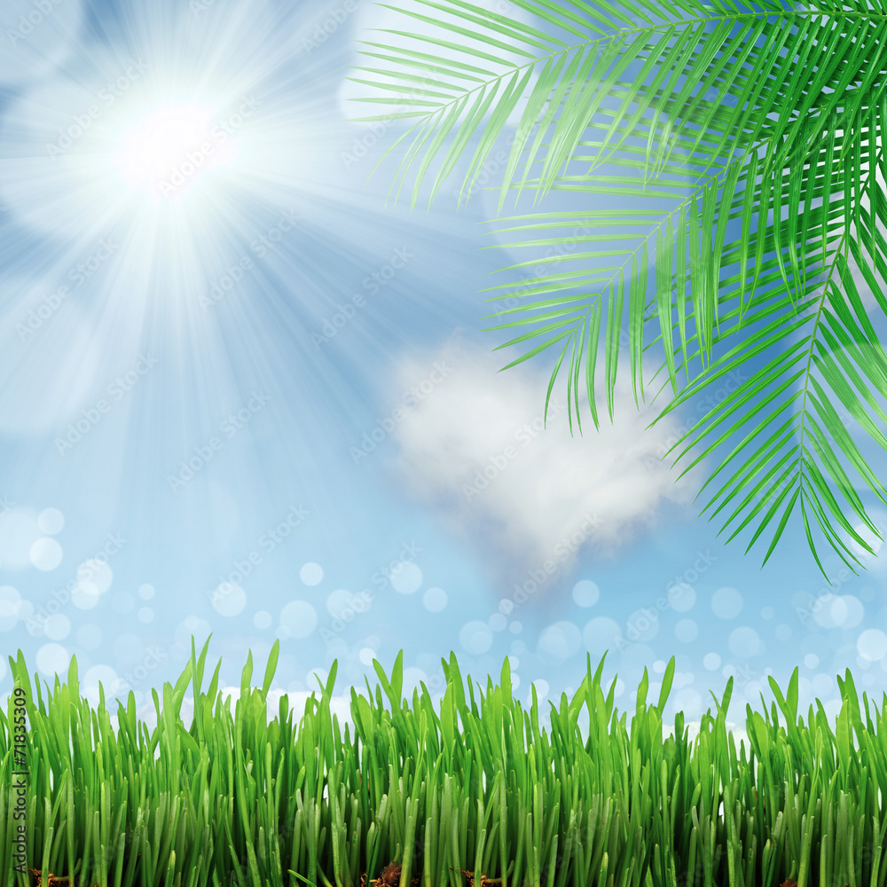 Obraz premium natural green background with selective focus