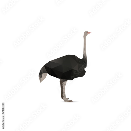 Abstract ostrich isolated on a white backgrounds