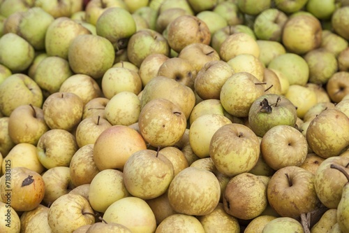 Green apple for sale in a grocery