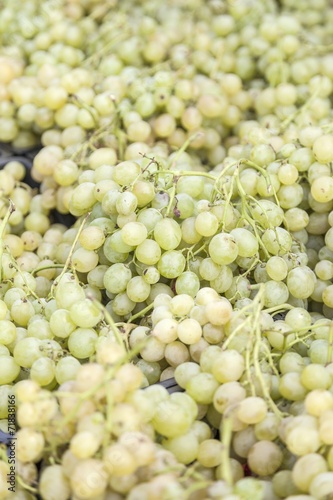 White grapes for sale on the sun light
