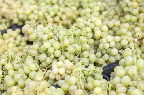 White grapes for sale on the sun light