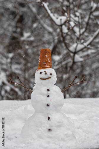 funny snowman in a forest