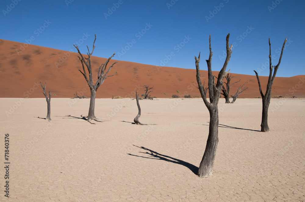 Deadvlei, Namib-Naukluft-Nationalpark, Namibia Deadvlei, Namib-Naukluft-Nationalpark, Namibia
