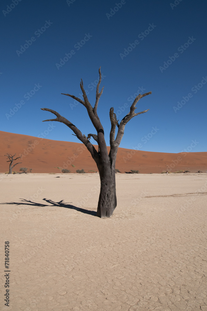 Deadvlei, Namib-Naukluft-Nationalpark, Namibia Deadvlei, Namib-Naukluft-Nationalpark, Namibia