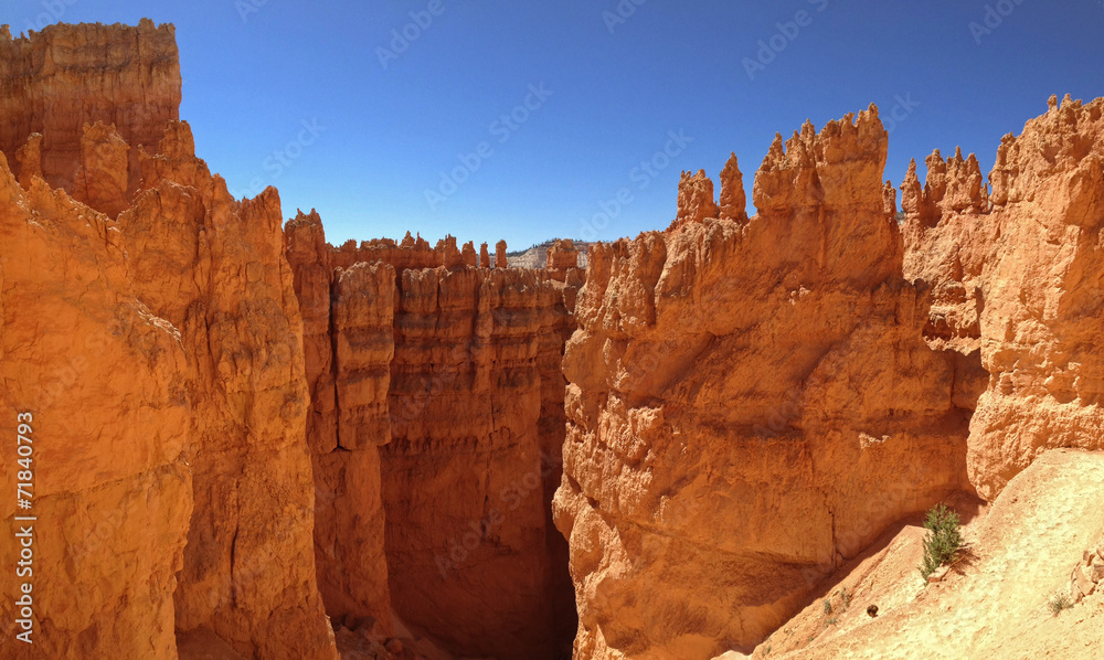 Hoodoo canyon in Bryce