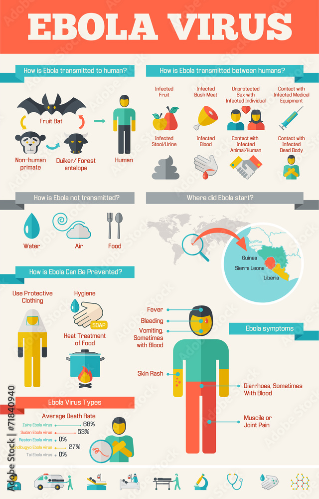 Medical Infographic Template. Medical Infographic Template.