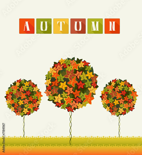 Autumn Colors Trees Abstract Garden