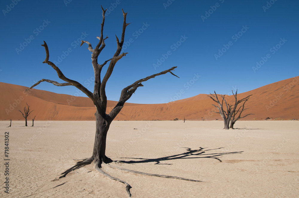 Deadvlei, Namib-Naukluft-Nationalpark, Namibia Deadvlei, Namib-Naukluft-Nationalpark, Namibia