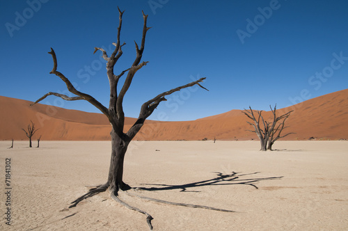 Deadvlei  Namib-Naukluft-Nationalpark  Namibia