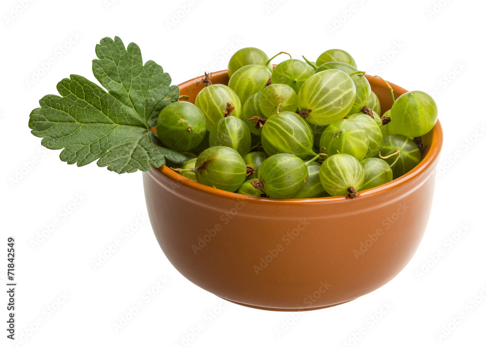 Gooseberry Gooseberry