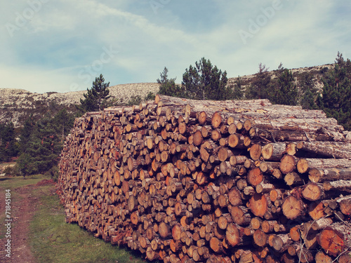Stères de bois