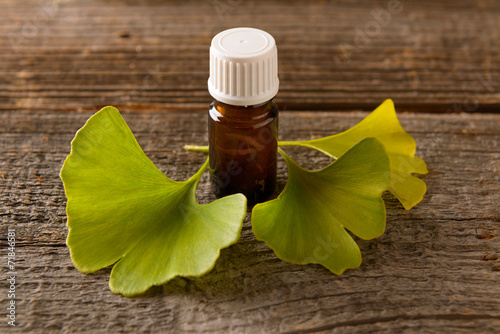 Quadro em tela Gonkgo leaves and extract