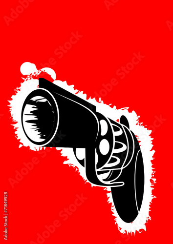 Gun