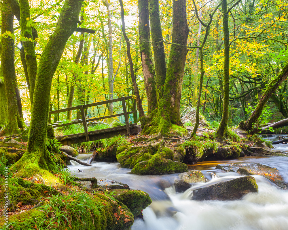Obraz premium Golitha Falls Cornwall
