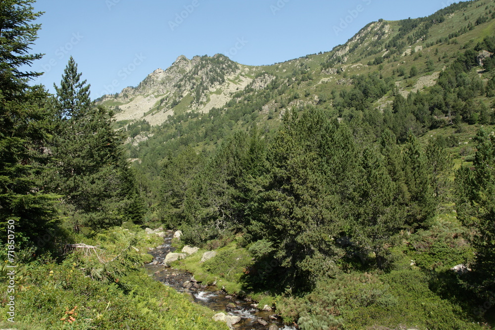 Ruisseau d'artounant,Pyrénées ariégeoises