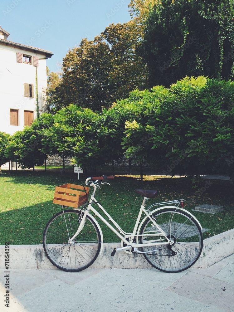 Fototapeta premium Bicicletta vintage