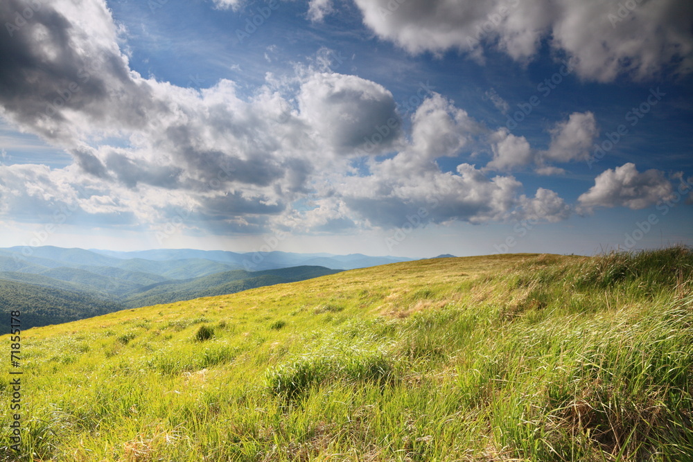 Nature. Field mountain landscape in the summer