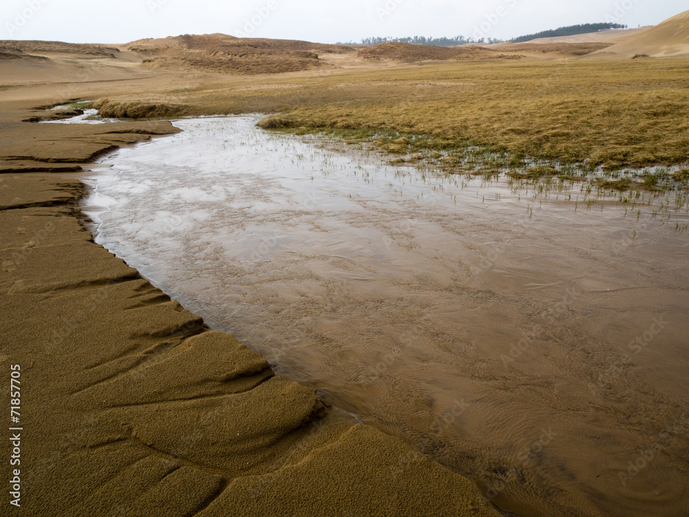 River in the sand Stock Photo Adobe Stock