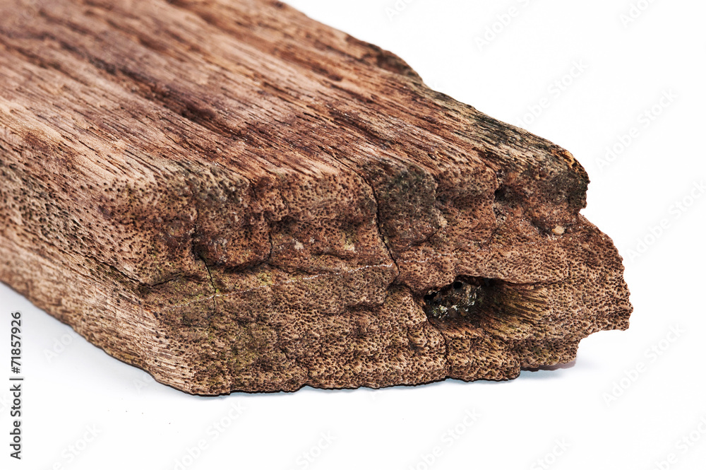 Piece of old wood isolated on white Piece of old wood isolated on white