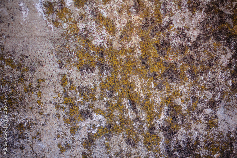 Grungy wall texture Grungy wall texture