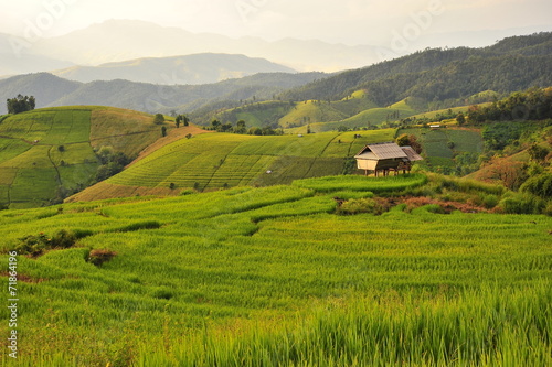 Rice Terraced Fields on Mountains